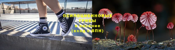 a pvp Горняк