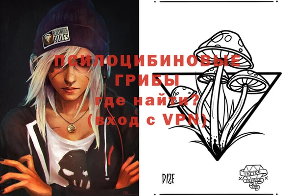 a pvp Горняк