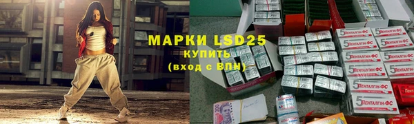a pvp Горняк