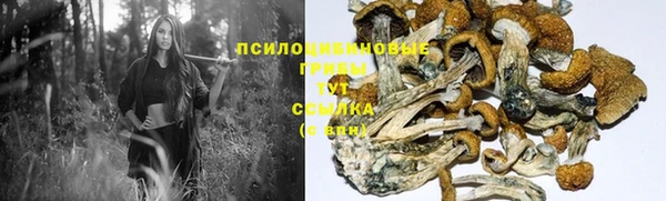 прущая мука Горно-Алтайск