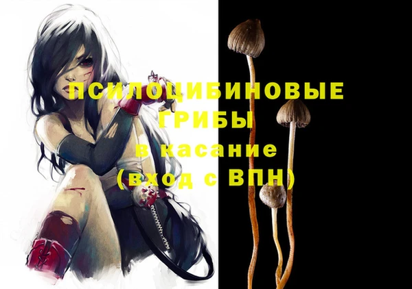 a pvp Горняк