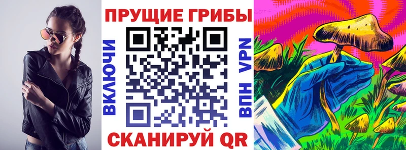 Псилоцибиновые грибы мицелий  Купить где  Орлов 
